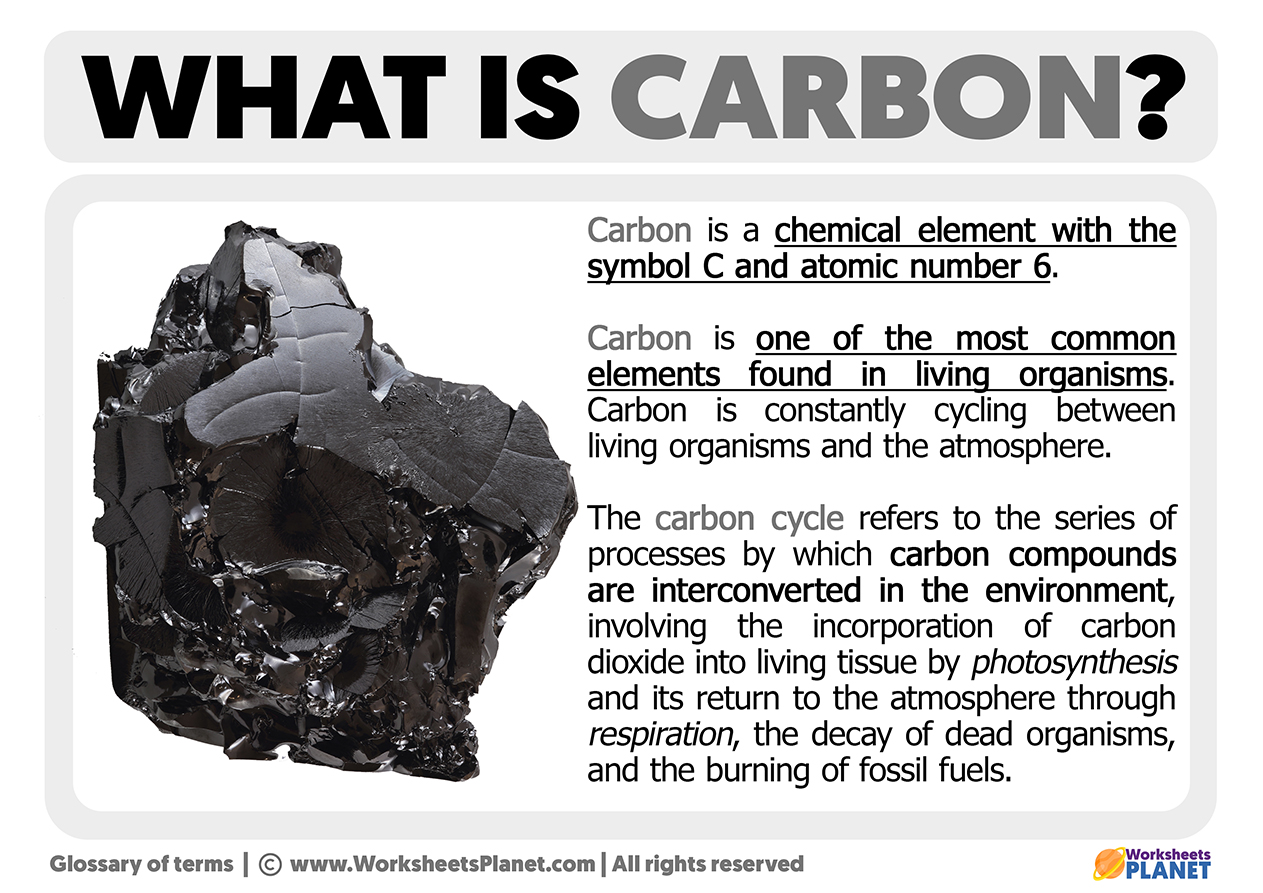 Carbon Dating Radioactive Decay Application