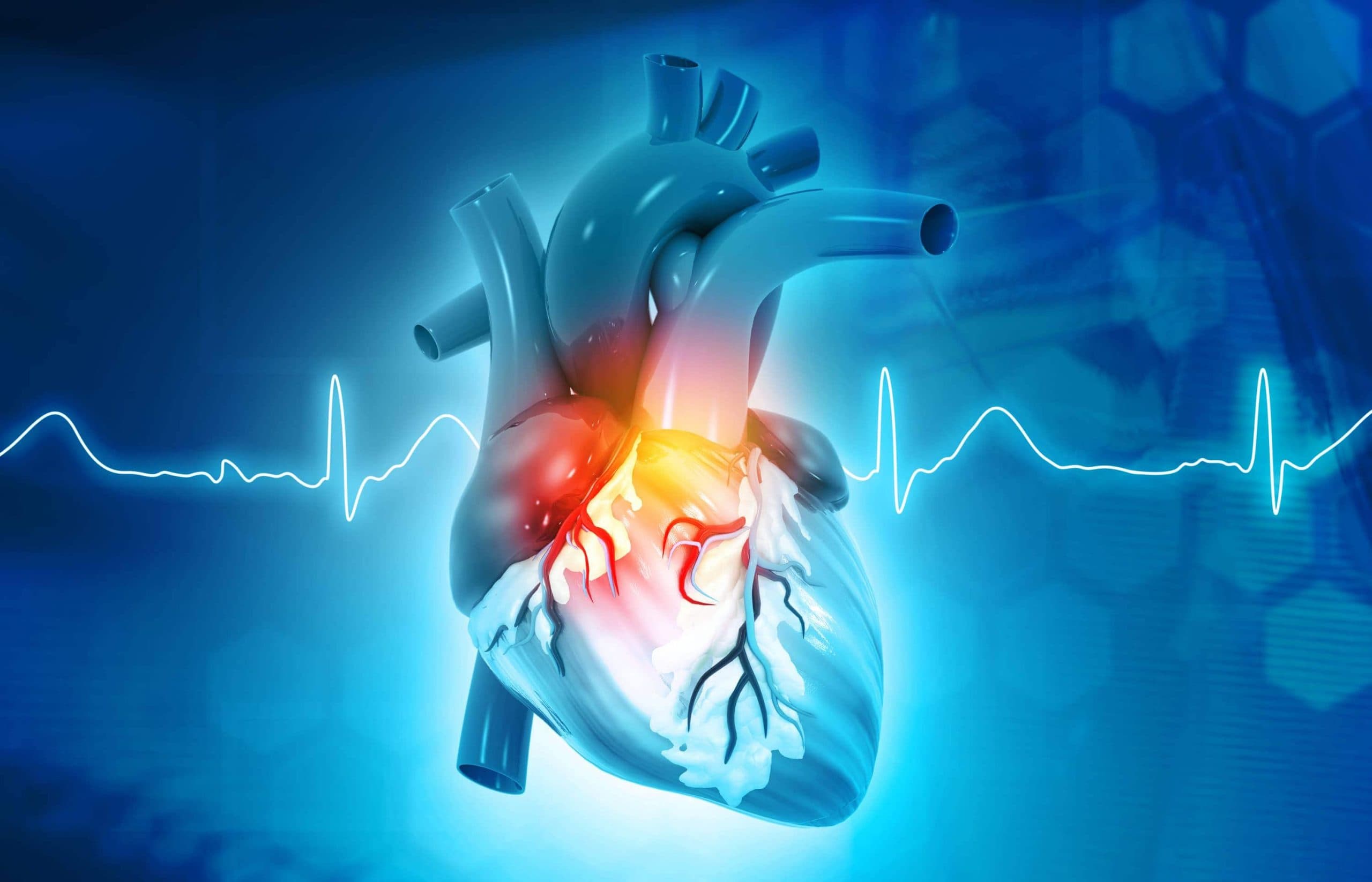 Cardiology Nurse Practitioner St Lawrence Region Slh Cph Main 40 Cardiology Nurse Practitioner St Lawrence Region Slh Cph Main 40