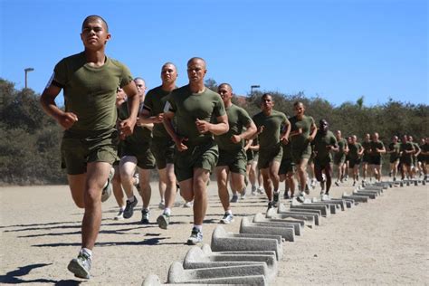 Carrera Militar Todo Lo Que Debes Saber Sobre La Carrera Carrera Militar Todo Lo Que Debes Saber Sobre La Carrera