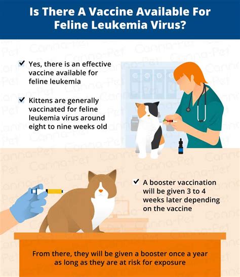 5 Tips Cat Leukemia Vaccine