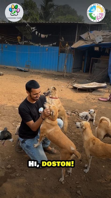 Citizens For Animal Protection Cap Mumbai Instagram Photos And Videos Citizens For Animal Protection Cap Mumbai Instagram Photos And Videos