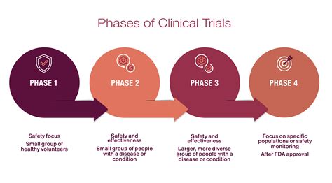Clinical Trial Animals Studies Phases Of Clinical Trial Are Clinical Trial Animals Studies Phases Of Clinical Trial Are