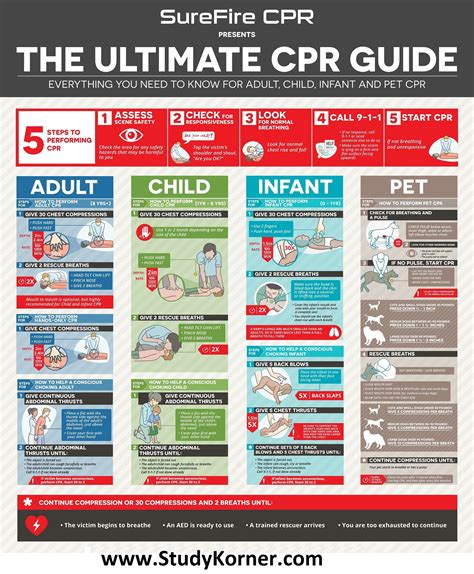 Cpr Cheat Sheets Printable 2023 Cpr Cheat Sheets Printable 2023