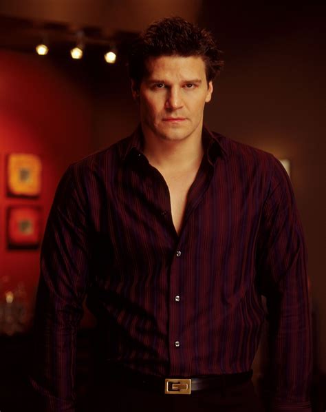 David Boreanaz Tv Shows
