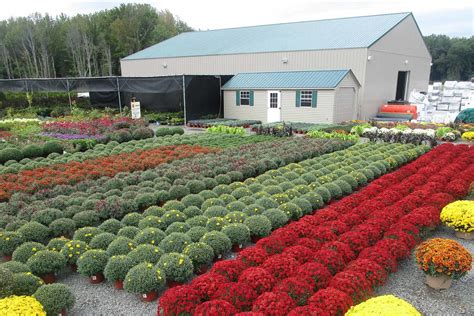 De Wilde Wholesale Nursery Plant Nursery At 6930 Old Guide Rd Lynden De Wilde Wholesale Nursery Plant Nursery At 6930 Old Guide Rd Lynden