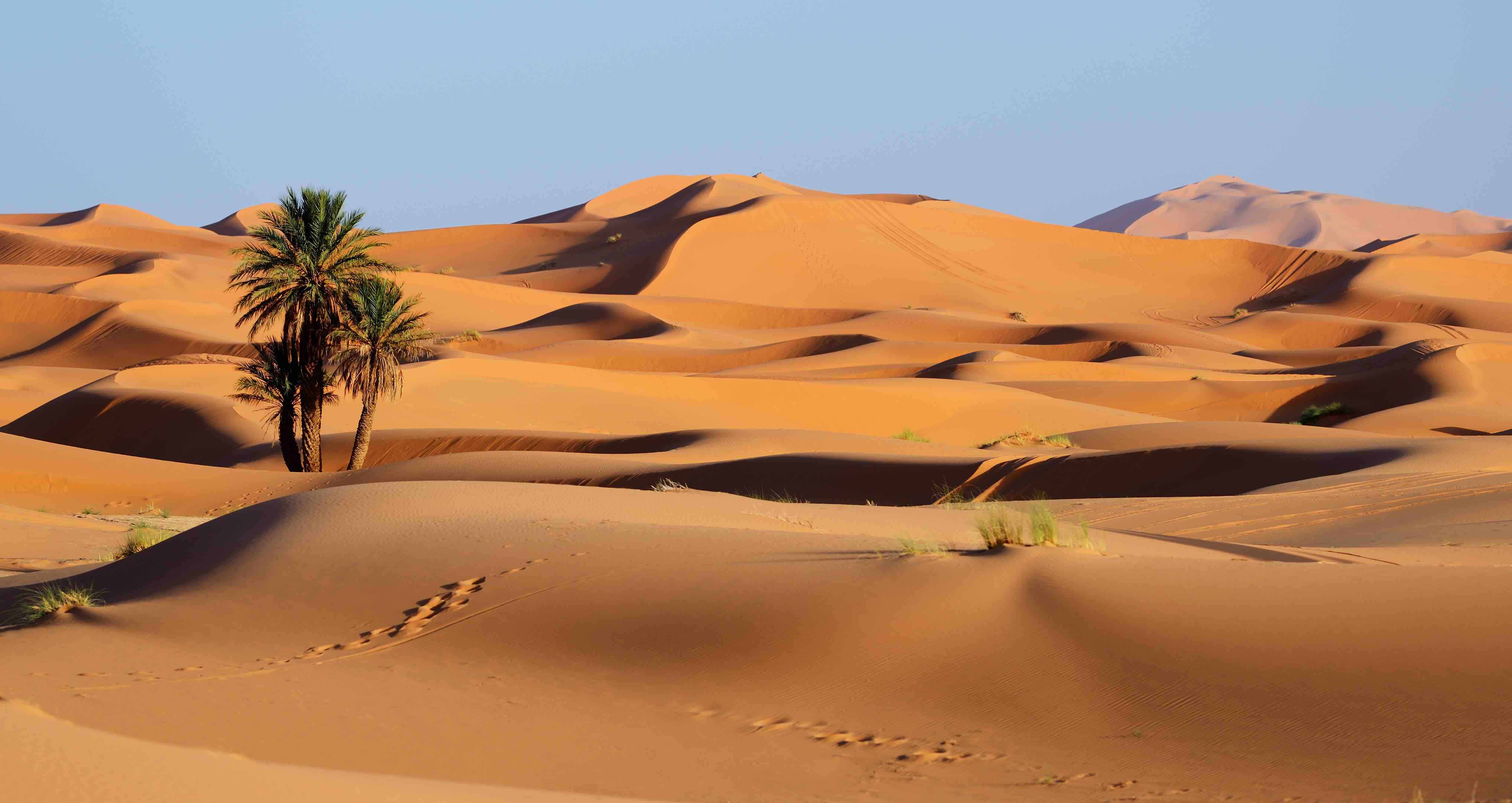 Desert Oasis Healthcare