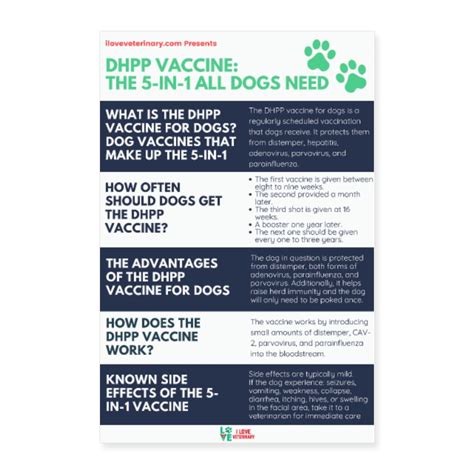Dhpp Vaccine The 5 In 1 All Dogs Need I Love Veterinary Dhpp Vaccine The 5 In 1 All Dogs Need I Love Veterinary