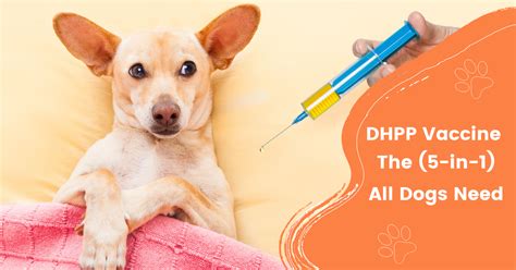 DHPP Vaccine Information