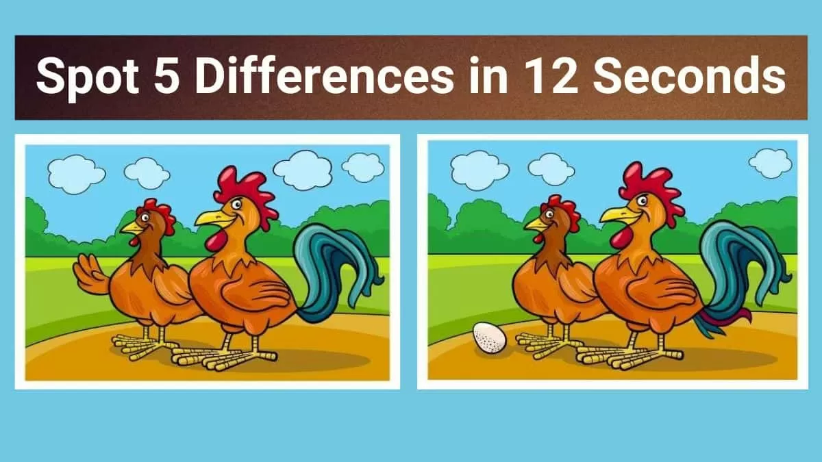 Difference Between Navy And Marines Difference Between Navy And Marines