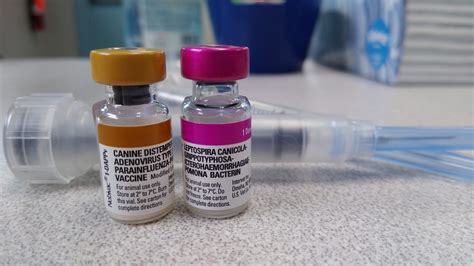 Distemper Vaccine Information