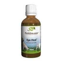 Dog Eye Health Promote Healthy Sight In Your Dog Mydoghealthcare Com