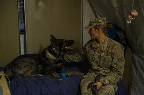 Dog Handler S Homegrown Values Environment Mirror Her K 9 Career U S Dog Handler S Homegrown Values Environment Mirror Her K 9 Career U S