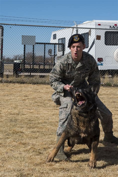 Dog Handlers Provide Additional Layer Of Protection F E Warren Air Dog Handlers Provide Additional Layer Of Protection F E Warren Air