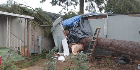Downed Tree Destroys 3 Homes In Washington As Next West Coast Storm Downed Tree Destroys 3 Homes In Washington As Next West Coast Storm