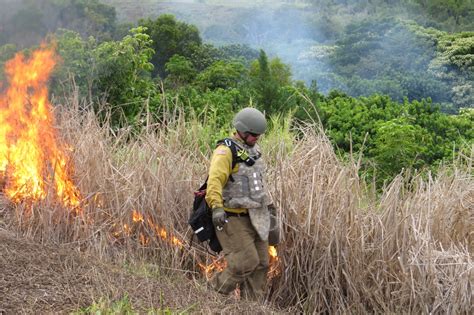 Dvids Images Wildland Firefighters Support Army S Mission Image 1