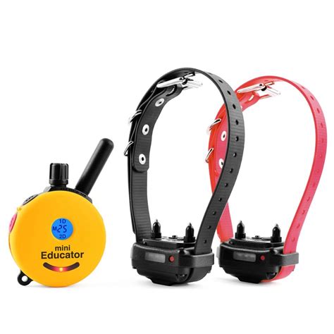 E Collar Technologies
