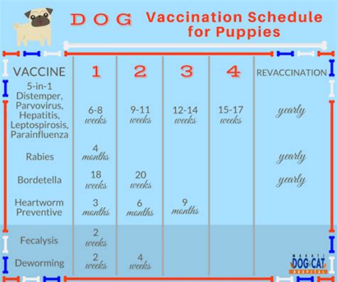 Easy Tricks For Organizing Your Pet S Info Journey Dog Training Easy Tricks For Organizing Your Pet S Info Journey Dog Training