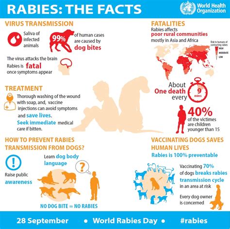 Education Is Vital To Prevent Rabies Deaths Education Is Vital To Prevent Rabies Deaths