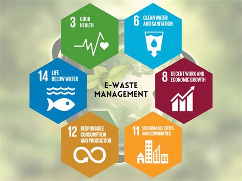 Efficient Waste Management Solutions For A Sustainable Future Efficient Waste Management Solutions For A Sustainable Future