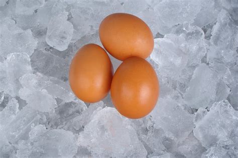 Egg Freezing 101 How Are Eggs Frozen Rma Of New York World Class Egg Freezing 101 How Are Eggs Frozen Rma Of New York World Class