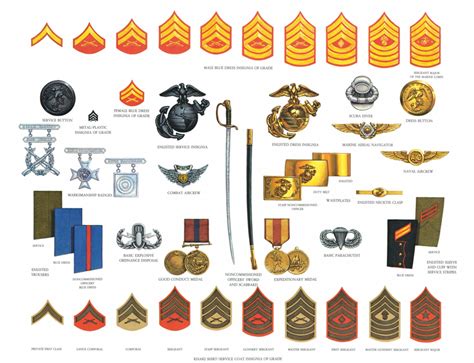 Enlisted Rank Devices Usmc Marines Marinecorps Marinha Dos Eua Enlisted Rank Devices Usmc Marines Marinecorps Marinha Dos Eua