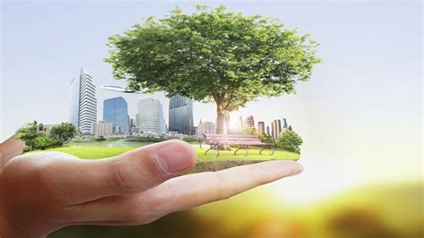 Environmental Safety And Health Salaries Revealed Environmental Safety And Health Salaries Revealed