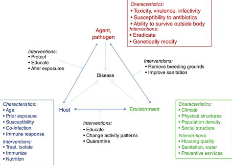 Epidemiological Triad Of Communicable Diseases With Examples From Epidemiological Triad Of Communicable Diseases With Examples From