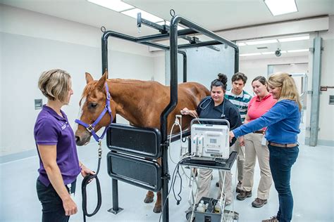 Equine Internal Medicine At The K State Veterinary Health Center Equine Internal Medicine At The K State Veterinary Health Center