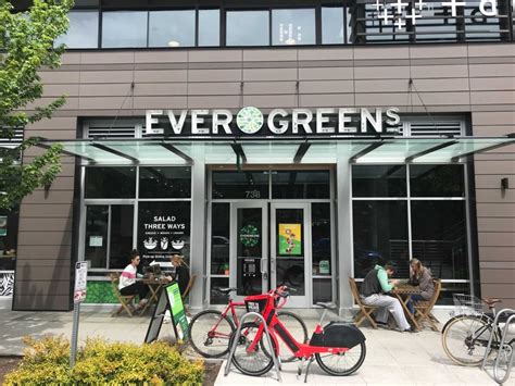 5 Evergreens Fremont Tips