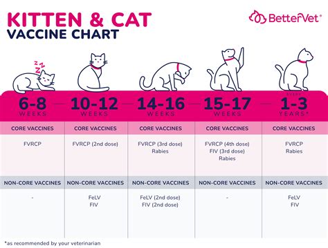 Feline Vaccine Schedule