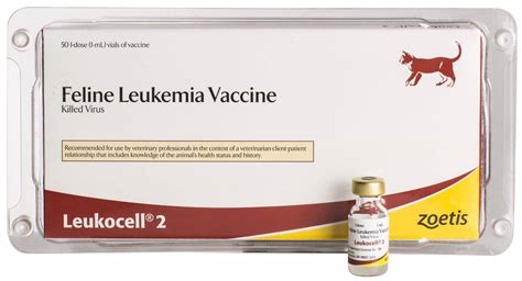 5 Felv Vaccine Tips