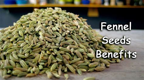 Fennel Seeds Benefits And Health Recipes By Sachin Goyal Ekunji Com Fennel Seeds Benefits And Health Recipes By Sachin Goyal Ekunji Com