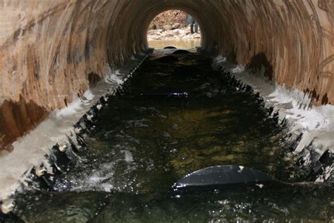 5 Fish Culvert Tips