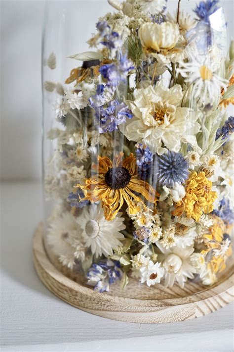 Five Easy To Dry Flowers Harebell Bee Five Easy To Dry Flowers Harebell Bee