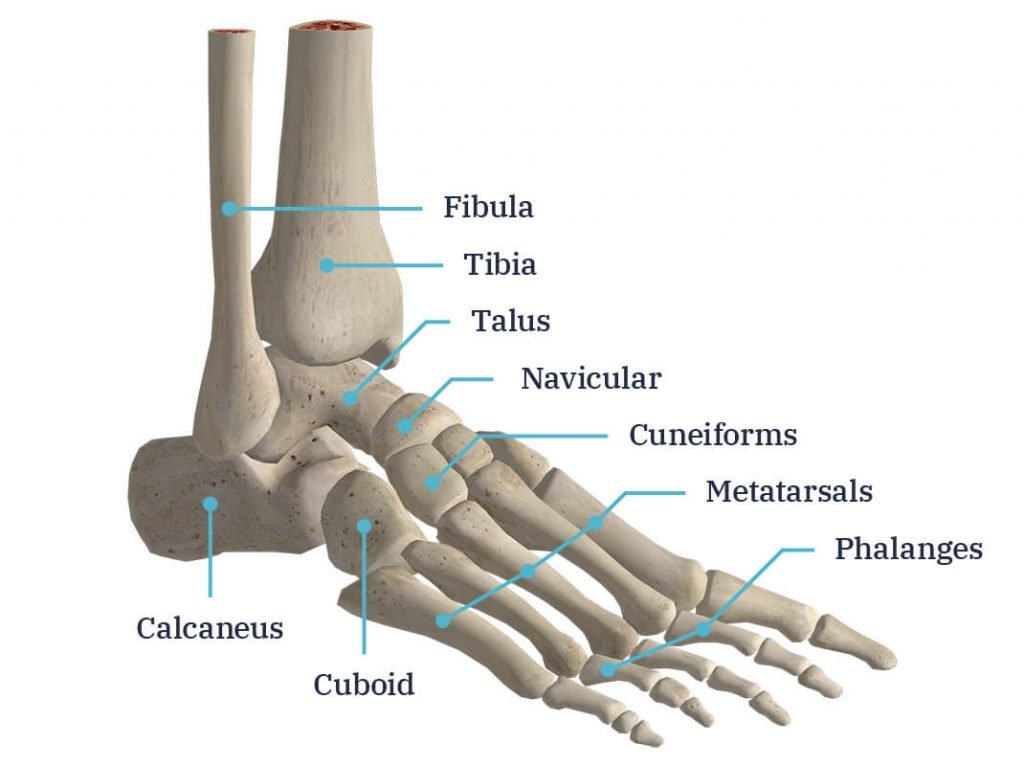 Foot Care Tips For Seniors Caring For Aging Feet Artofit Foot Care Tips For Seniors Caring For Aging Feet Artofit