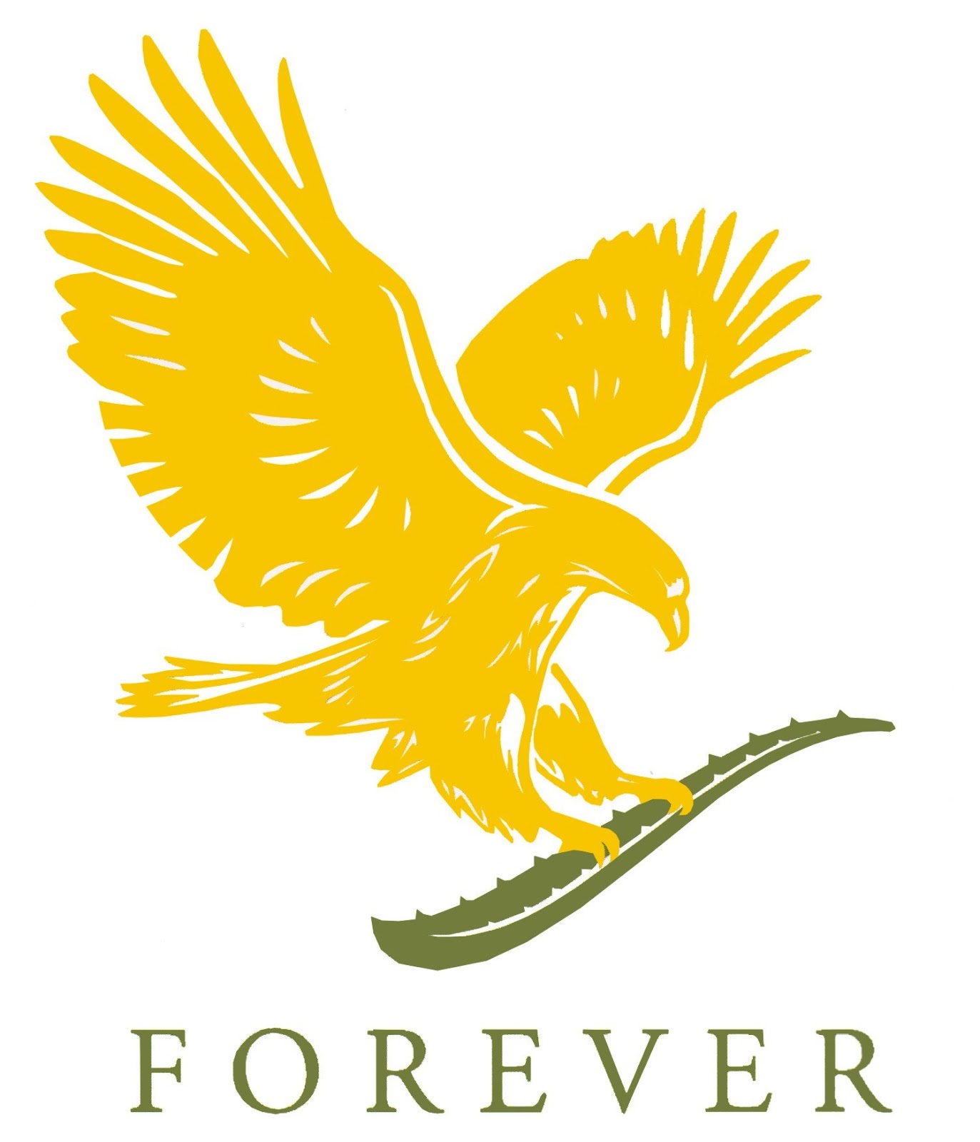 Forever Gi Bill Montgomery Navy Visual Forever Gi Bill Montgomery Navy Visual