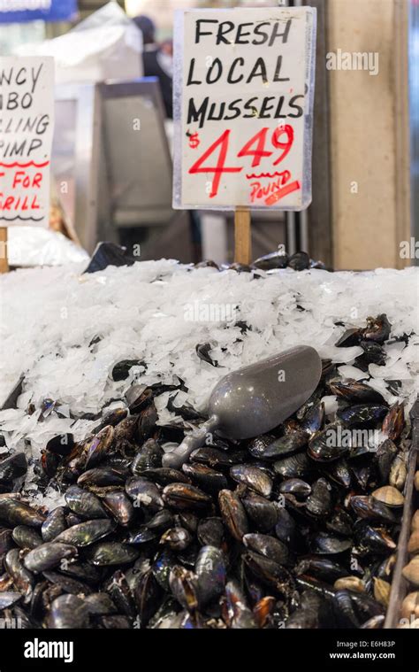 Fresh Mussels On Display At Pike Place Market Seattle Stock Photo Alamy Fresh Mussels On Display At Pike Place Market Seattle Stock Photo Alamy