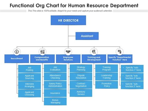 Functional Org Chart For Human Resource Department Presentation Functional Org Chart For Human Resource Department Presentation