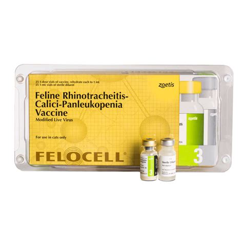 Fvrcp Cat Vaccine Cost In India Humberto Rosser Fvrcp Cat Vaccine Cost In India Humberto Rosser