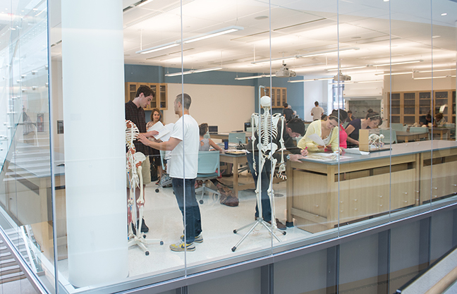 Gcc Grads Med School Acceptance Rate Is High Grove City College Gcc Grads Med School Acceptance Rate Is High Grove City College