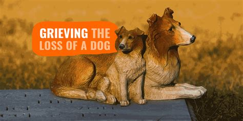 Grieving The Loss Of A Pet Here Are 10 Tips That Will Help Grieving The Loss Of A Pet Here Are 10 Tips That Will Help