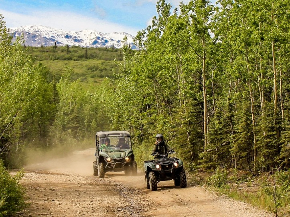 Guided Denali Day Tour Atv Adventure At Denali National Park