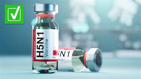 H5n1 Vaccine