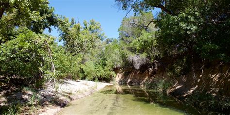 Hamms Creek Nature Preserve Exploration