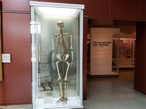 Health And Medicine Museum