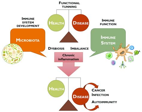 Health Disparities In Autoimmune Disease