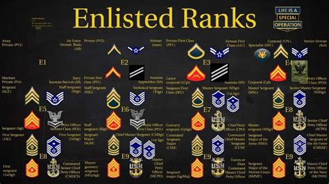 Highest Enlisted Rank Marines