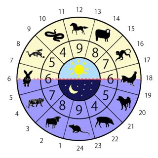 How Bazi Analysis Reveals Your Ideal Career Path Geomancy Asia How Bazi Analysis Reveals Your Ideal Career Path Geomancy Asia