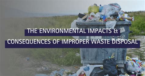 How Improper Waste Disposal Affects The Environment How Improper Waste Disposal Affects The Environment