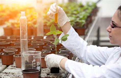 How Laboratories Can Promote Healthy Soils Formaspace How Laboratories Can Promote Healthy Soils Formaspace